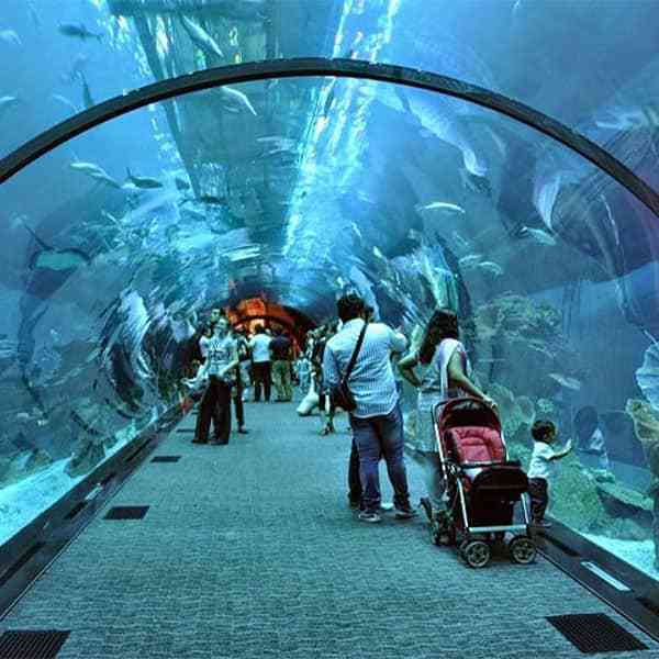 آکواریوم دبی مال – Dubai Mall Aquarium