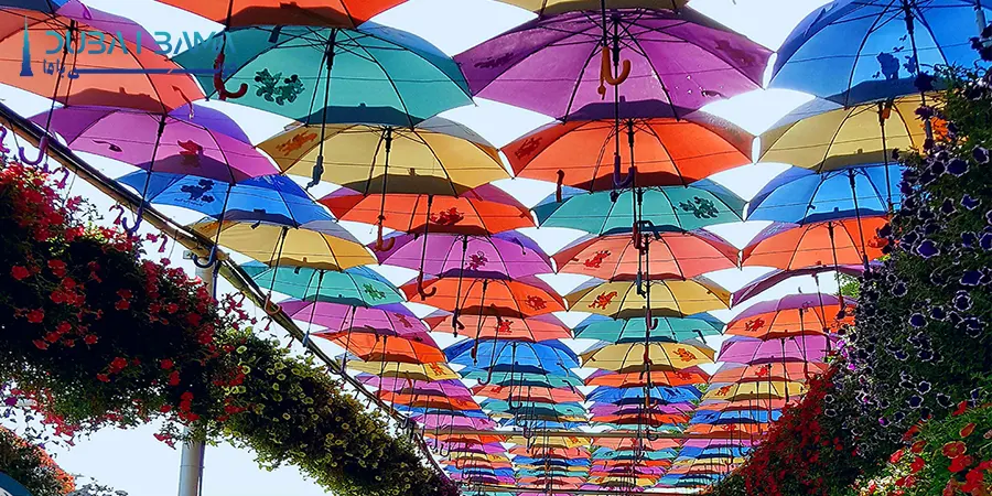 تونل چتری