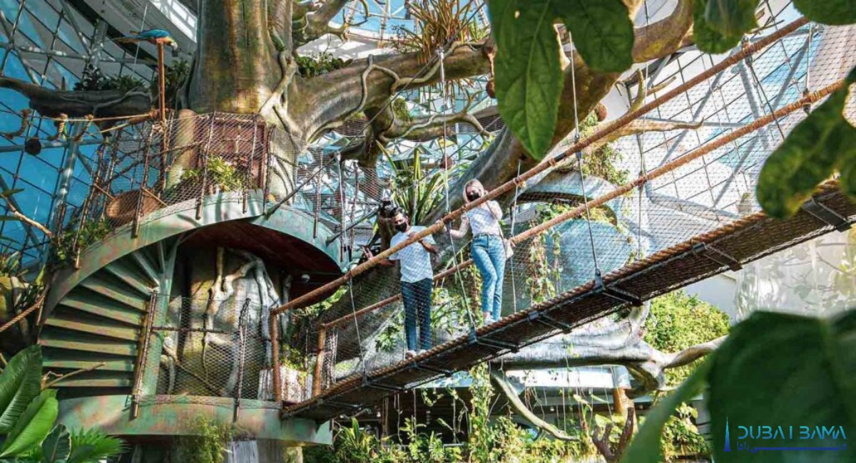 جنگل بارانی در دل شهر