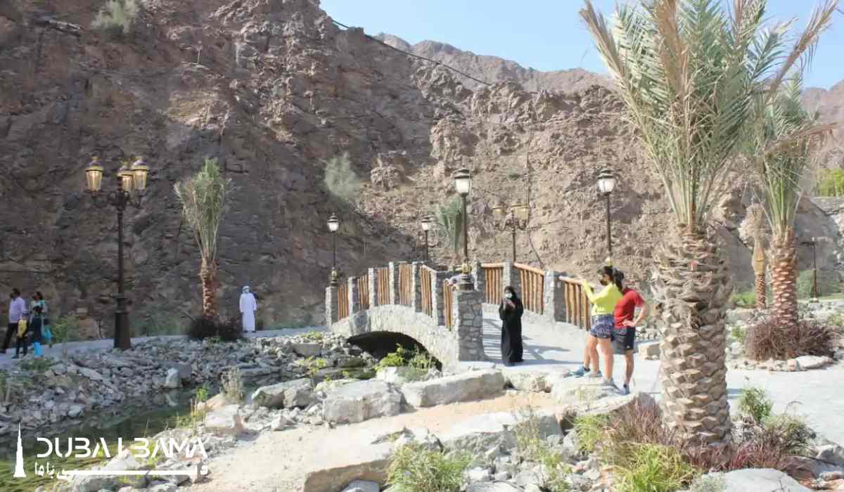Desert Park